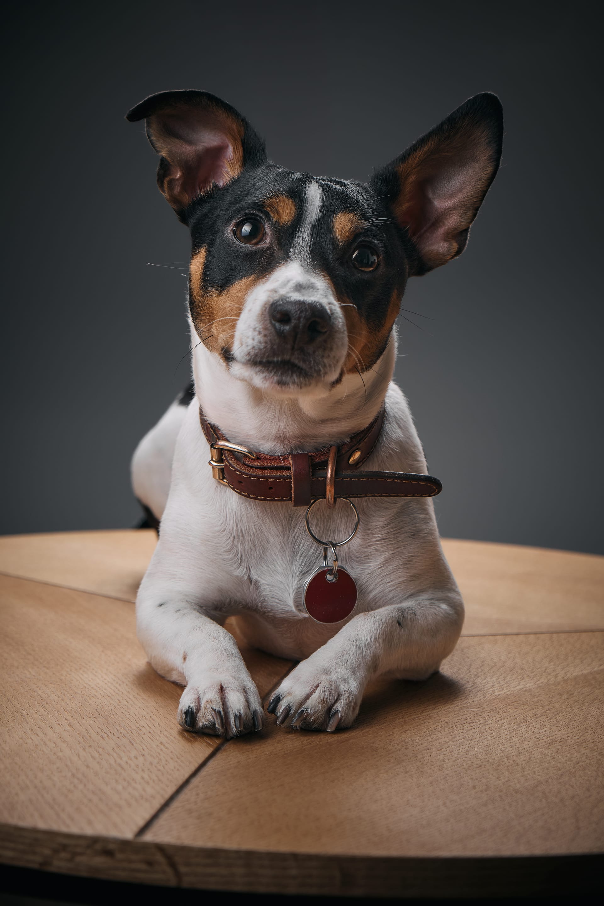 Boris Alberto — Feel Good Agent at Mumo's Inn